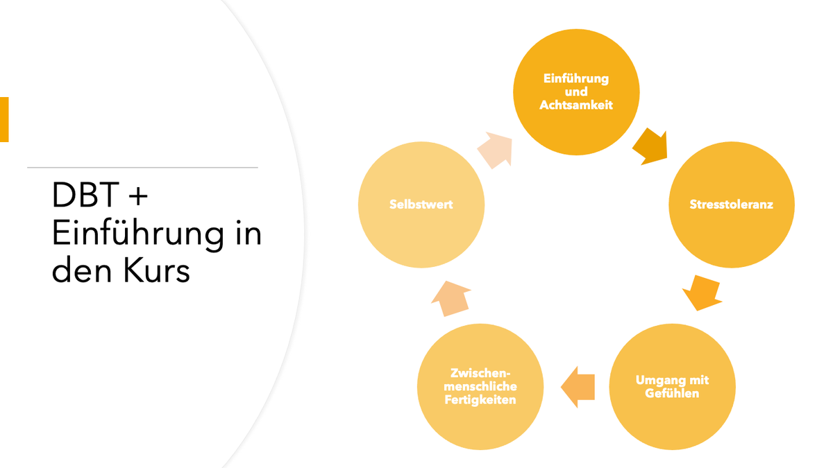 DBT plus - online Videokurs zu allen 5 Modulen der DBT Skillsgruppe mit Leonie